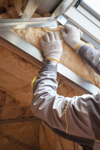 Best Types of Insulation in Fort Lauderdale, FL