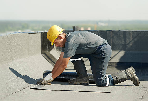 Best Insulation Installation Services in Fort Lauderdale, FL